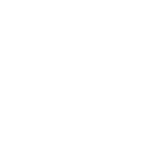 Pratic